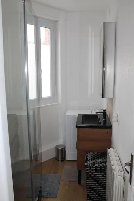 Rouen Rive droite - Apartment mit 1 Schlafzimmer - 13