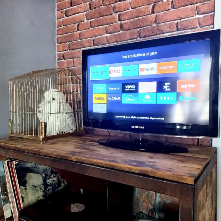 HARRY POTTER A LA PLAGE - Apartment - 25