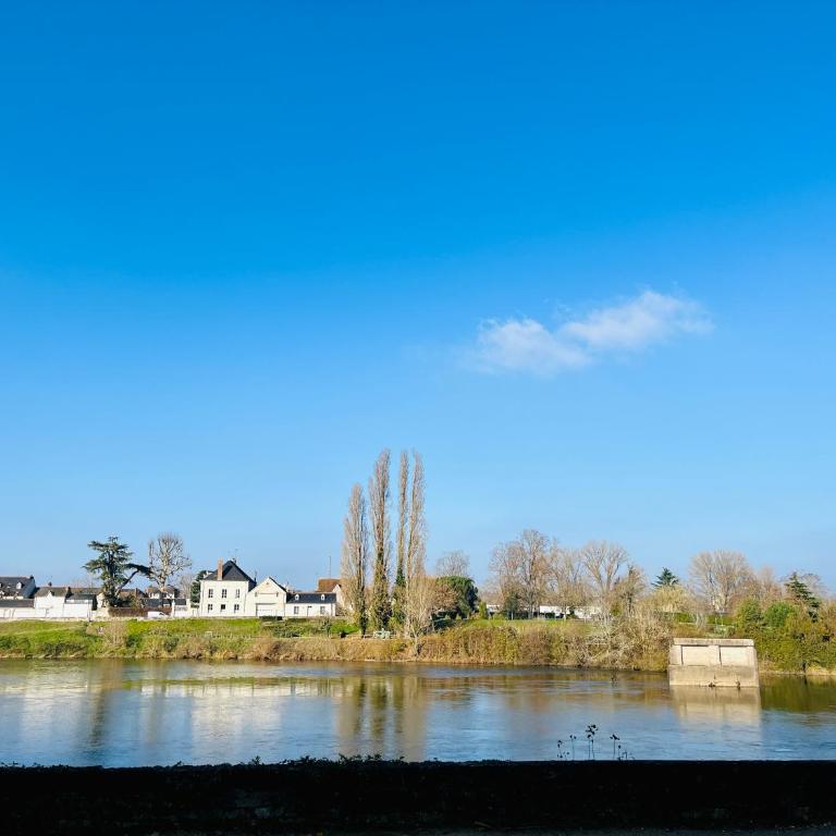 Le Léonard- T5 entre Loire et Château Royal - Manoir de la Concorde - Apartamento Deluxe - 15