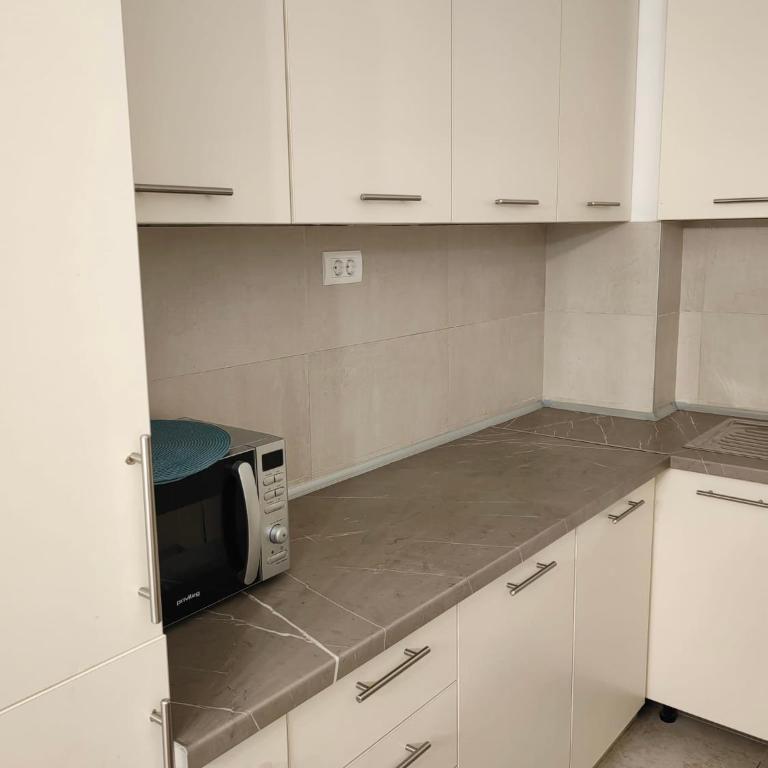 City Museum Apartments Banja Luka - Apartman sa 2 Spavaće Sobe - 11