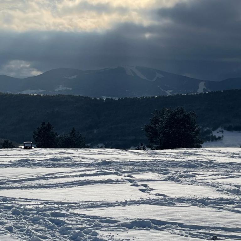 Dina lux Zlatibor - Apartman sa 1 Spavaćom Sobom - 45