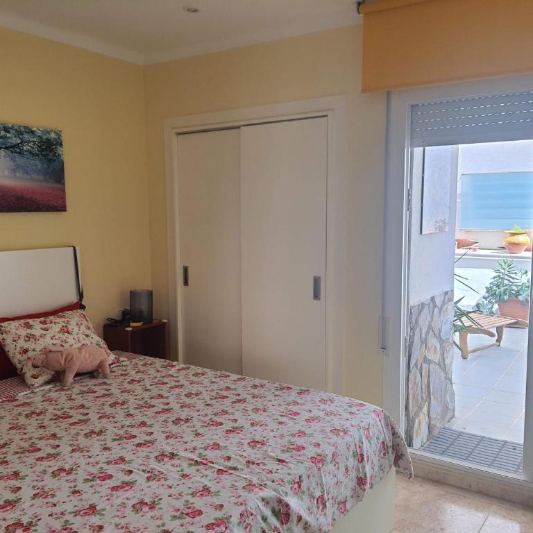 Apartamentos Ferrán Paqui - Apartamento con terraza - 5