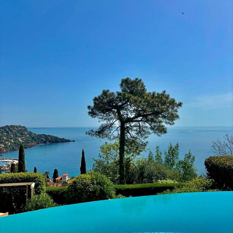 Villa Provençale vue mer & piscine privée - Villa - 42