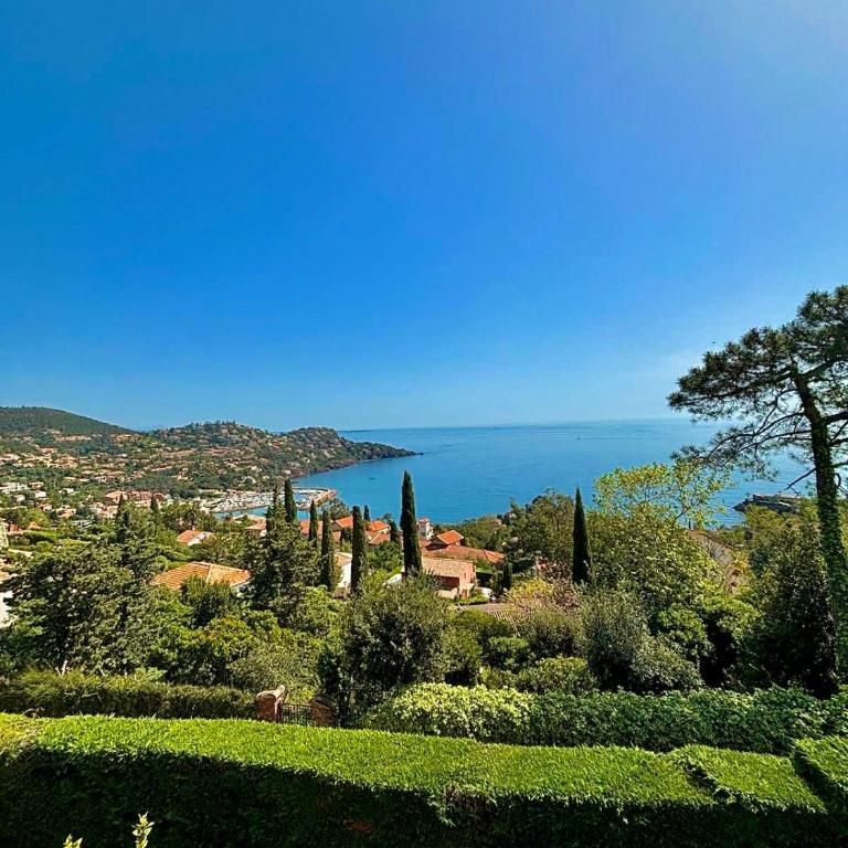 Villa Provençale vue mer & piscine privée - Villa - 45
