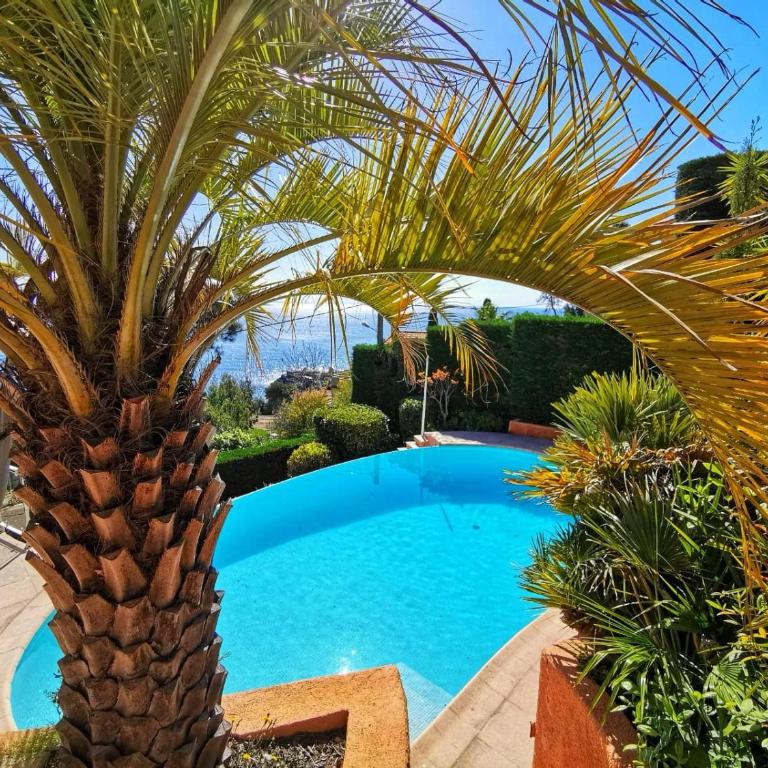 Villa Provençale vue mer & piscine privée - Villa - 50