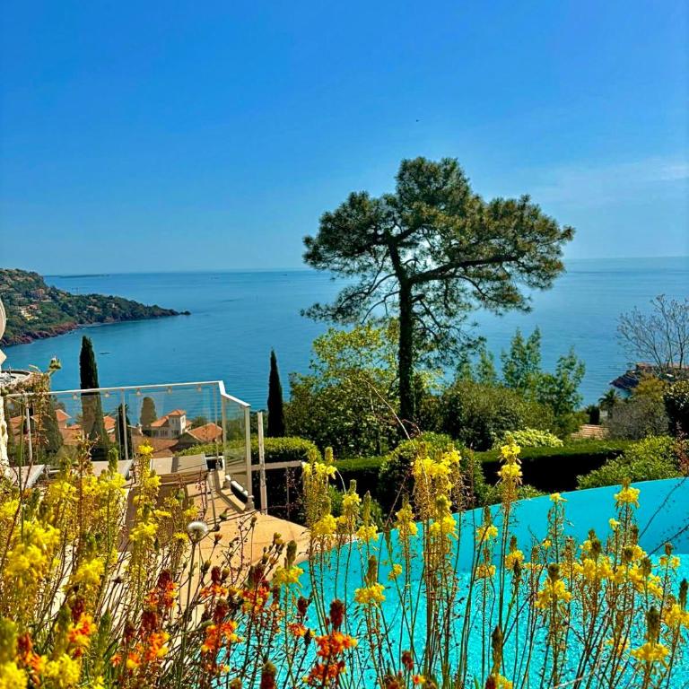 Villa Provençale vue mer & piscine privée - Villa - 44