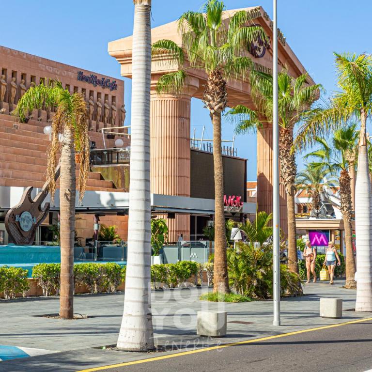 Apartment Paraiso Royal - Estudio Deluxe con cama grande - 4