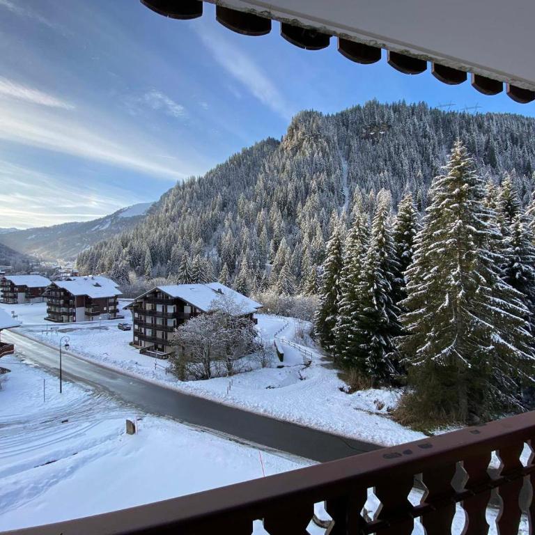Studio tranquille avec balcon et parking proche centre Châtel - FR-1-693-59 - Studio - 12