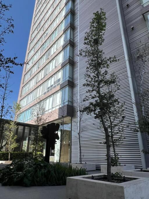 Olivo&Laurel HP - Sur - Apartamento Deluxe de 2 dormitorios - 35