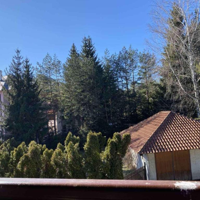Apartmani Zlatibor Beti - Apartman sa 1 Spavaćom Sobom - 6