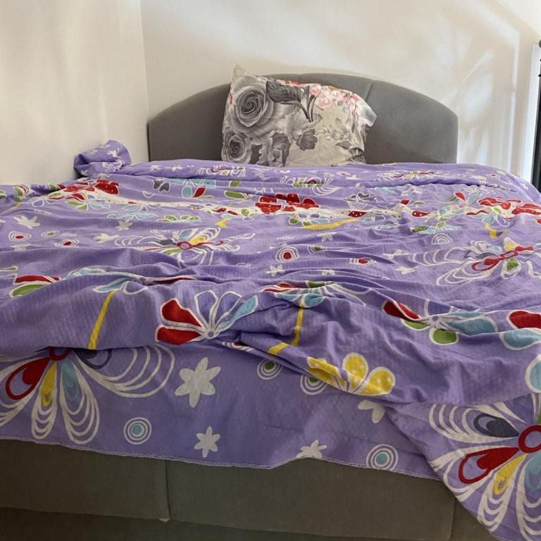 Apartmani Zlatibor Beti - Apartman sa 1 Spavaćom Sobom - 14