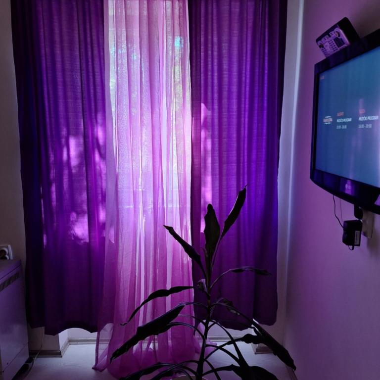 Apartman Maja - Apartman sa 1 Spavaćom Sobom - 14