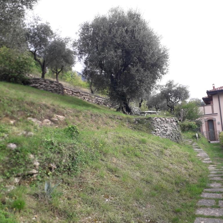 Villa immersa in Natura - Appartamento con 1 Camera da Letto - 41