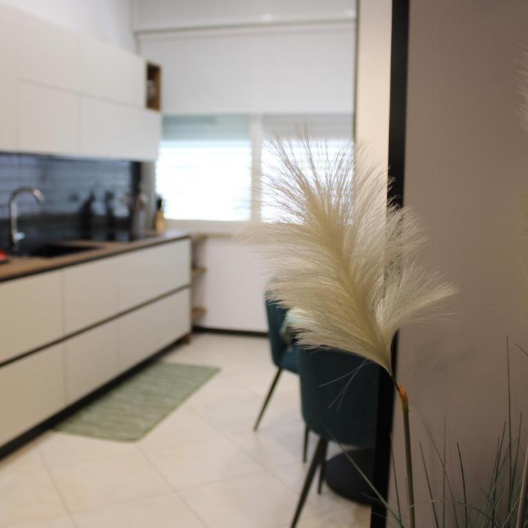 Cerasè Apartment in center-Sorrento Coast - Appartamento - 8
