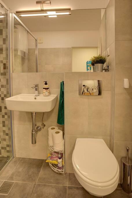 Tašmajdan Central Apartment - Apartman sa 1 Spavaćom Sobom - 11