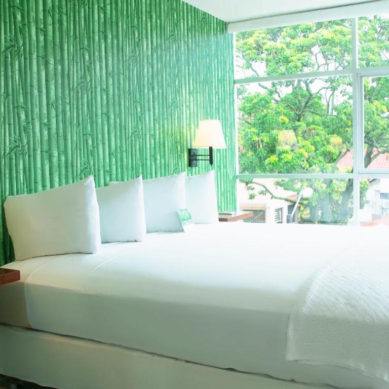 Hotel LP Santa Cruz Centro - Suite - 1