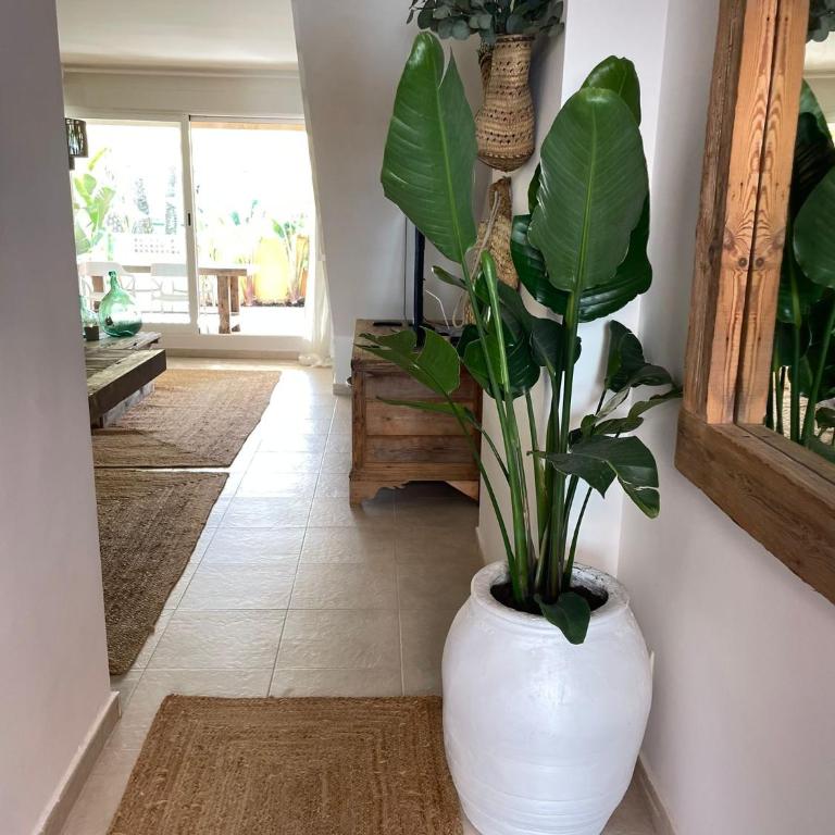 ALOJAMIENTO ARENAL PARK - Apartamento de 3 dormitorios - 10