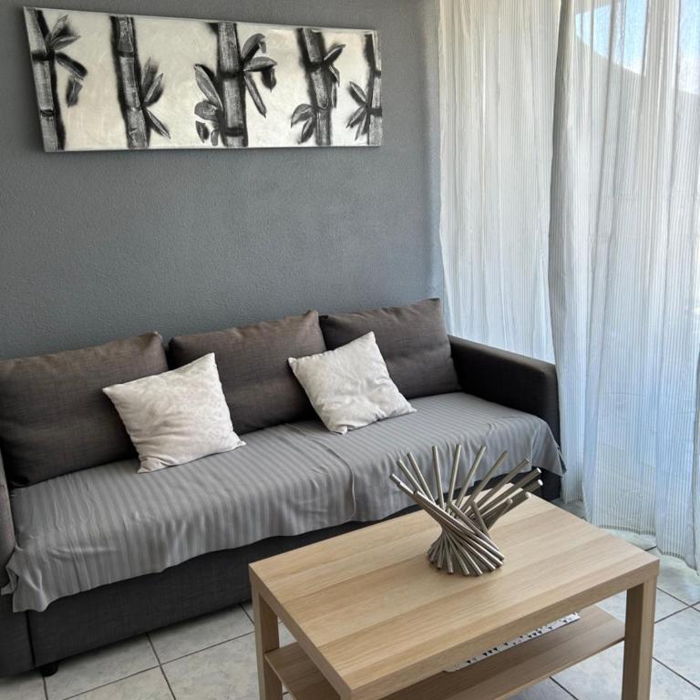 Studio cosy centre ville et plage - Appartamento con 1 Camera da Letto - 1