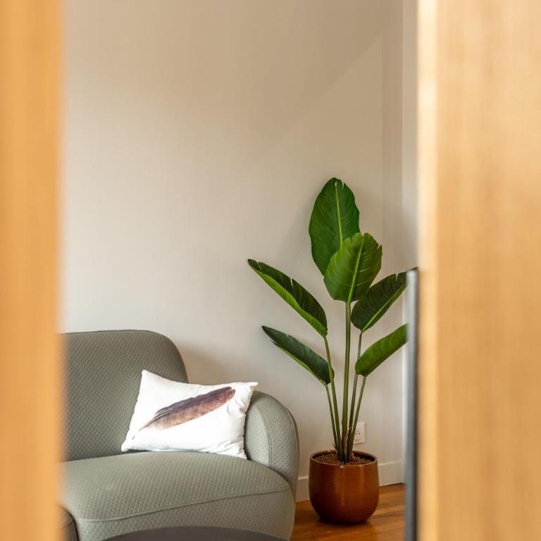 PANORAMIC SUITE - SUPERB flat in the heart of the old town 5 stars - Apartment - 44