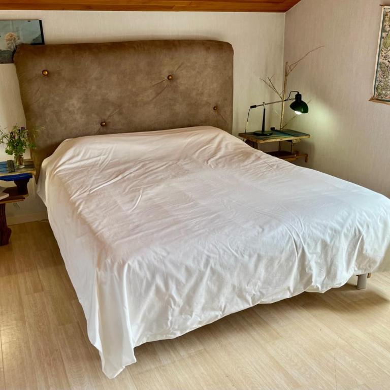 Maison de charme avec jardin, 9 couchages, Capbreton - FR-1-239-1035 - Maison 4 Chambres - 4
