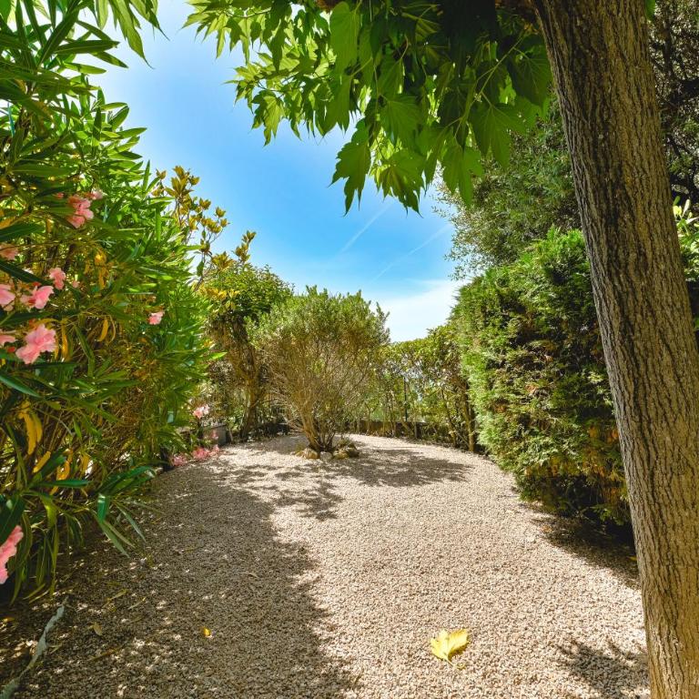 Charmant Appartement - Jardinet Privé - 5 minutes des plages Sanguinaires - Ajaccio - Appartement 1 Chambre - 17