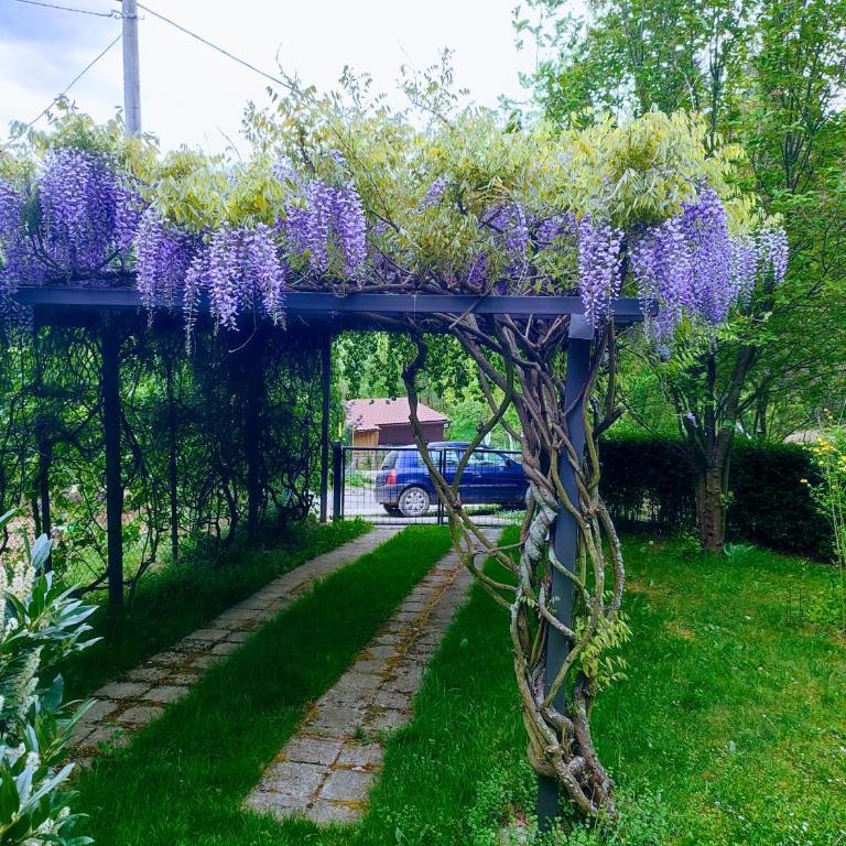 Garden House - Kuća sa 4 Spavaće Sobe - 45