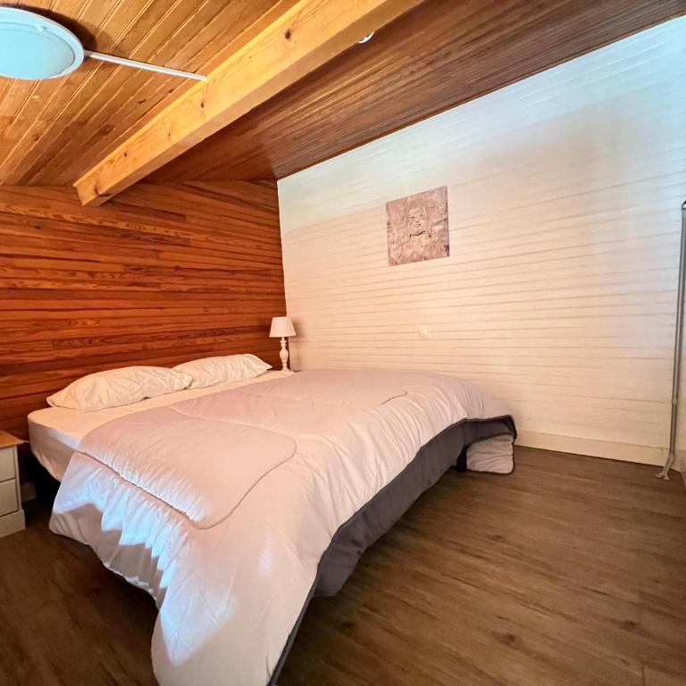 Studette et studio en montagne proche stations de ski et lac - Appartement avec Balcon - 5