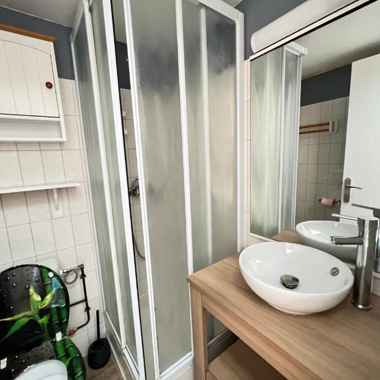 Studette et studio en montagne proche stations de ski et lac - Appartement avec Balcon - 1