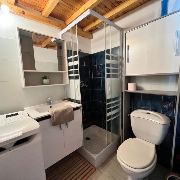 Studette et studio en montagne proche stations de ski et lac - Appartement 1 Chambre - 3
