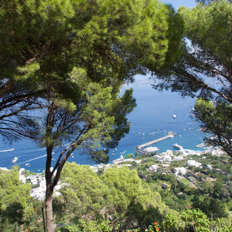 La Casa nel Bosco - King Room with Sea View - 19