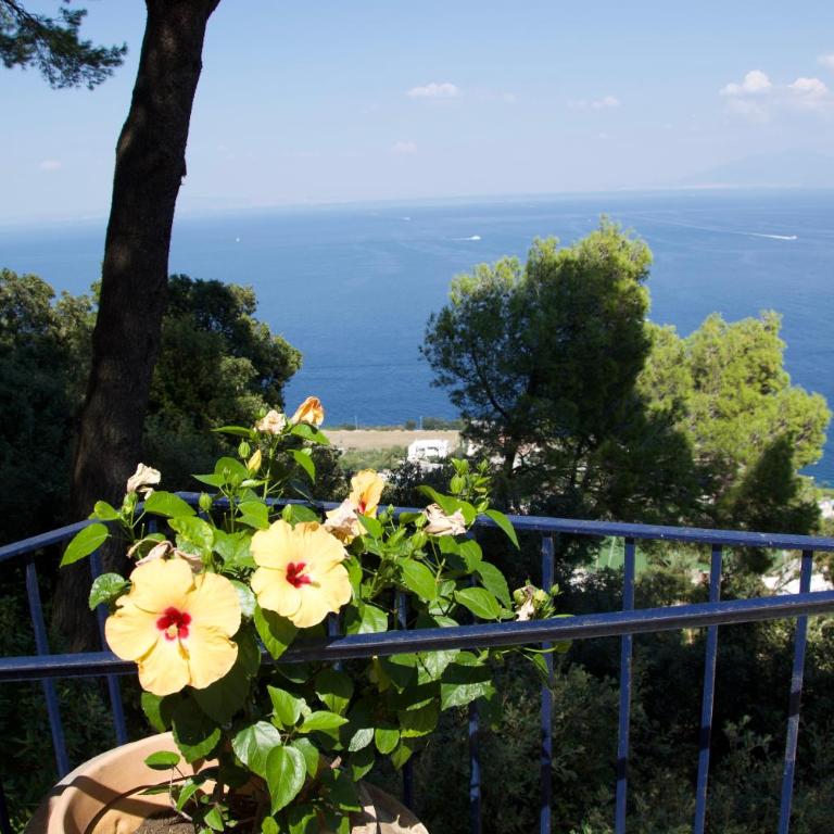 La Casa nel Bosco - King Room with Sea View - 21