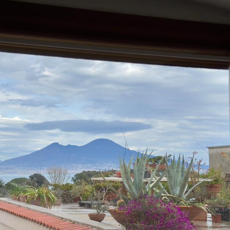 casa vacanze Mamilù - One-Bedroom Apartment - 2