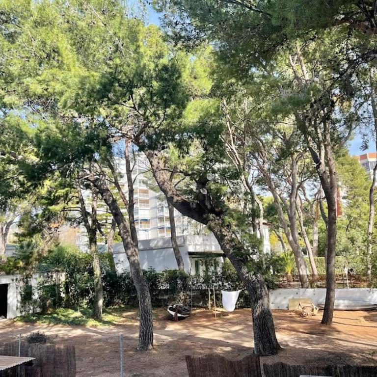LC Apartaments Playa Voramar - Three-Bedroom Apartment - 22