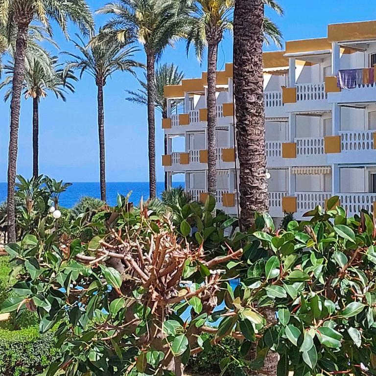 Beach Holiday Denia - Apartamento - 21