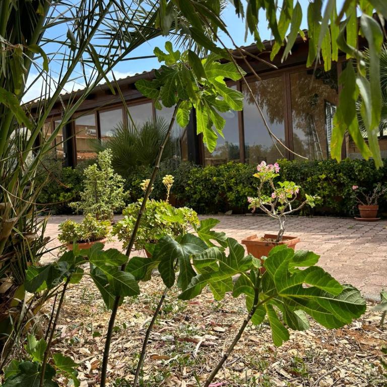 Rifugio Giudeo - Casa con 2 Camere da Letto - 18