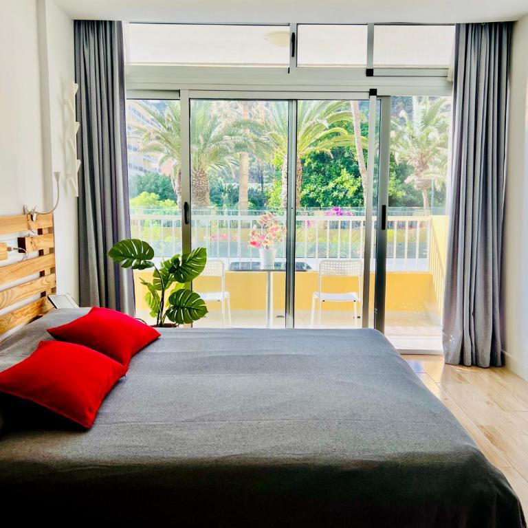 Estudio Tinerfe - Estudio con vistas al mar - 4