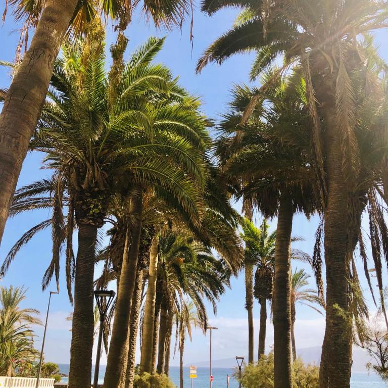 Estudio Tinerfe - Estudio con vistas al mar - 37