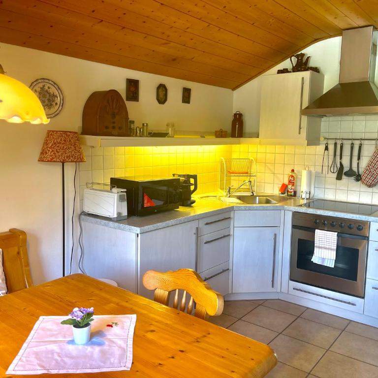 Villa Edyta Ellmau - One-Bedroom Apartment - 43