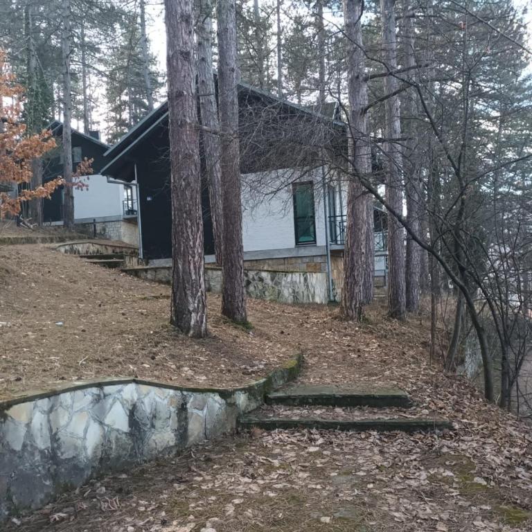 Apartmani Jelena - One-Bedroom Apartment - 1