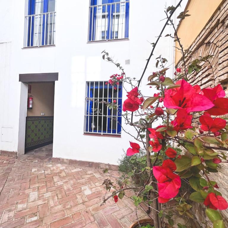 El Rincón del Azahar, dúplex con encanto - Apartamento de 3 dormitorios - 40