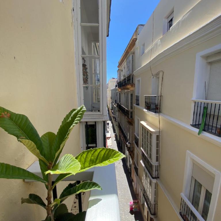 Charito 18 - Apartamento de 1 dormitorio - 25