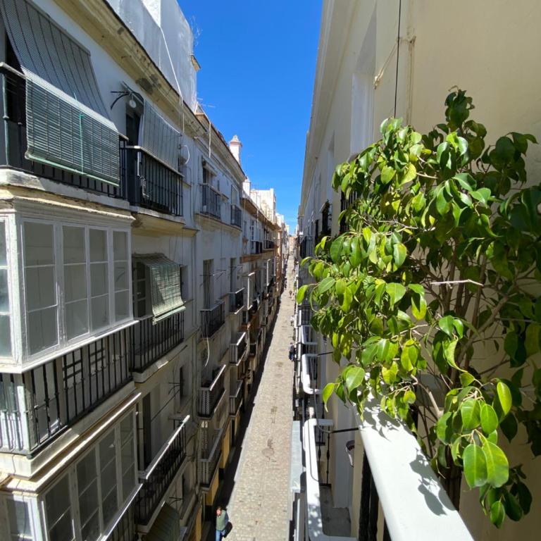 Charito 18 - Apartamento de 1 dormitorio - 23