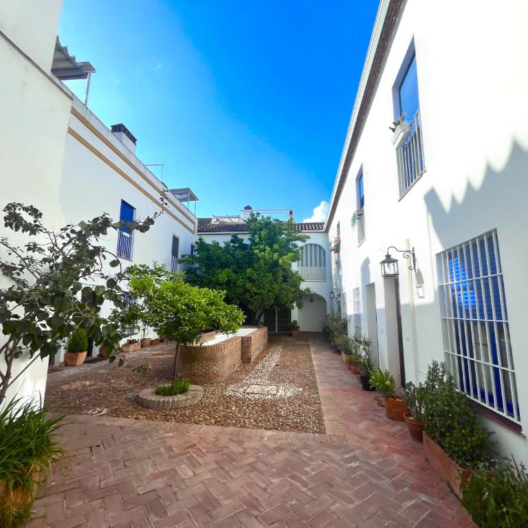 El Rincón del Azahar, dúplex con encanto - Apartamento de 3 dormitorios - 41