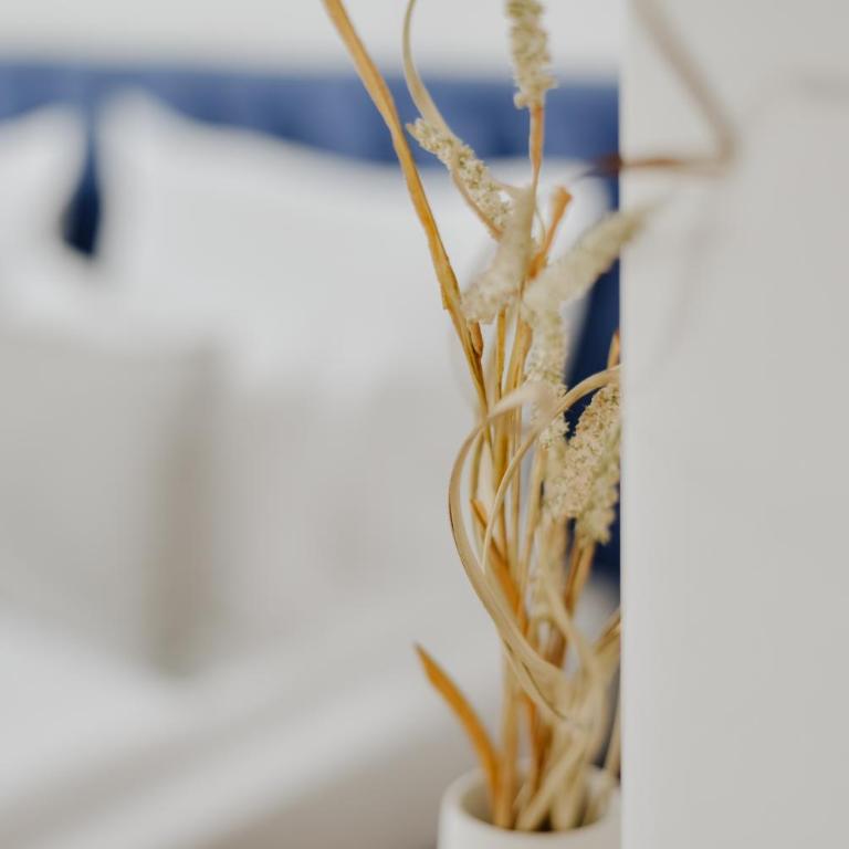 Lux City Apartments & Rooms - Superior Dvokrevetna Soba sa Bračnim Krevetom - 14