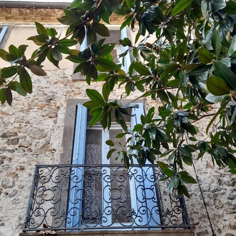 Zoralie - Suite Junior - Vue sur Jardin - 20
