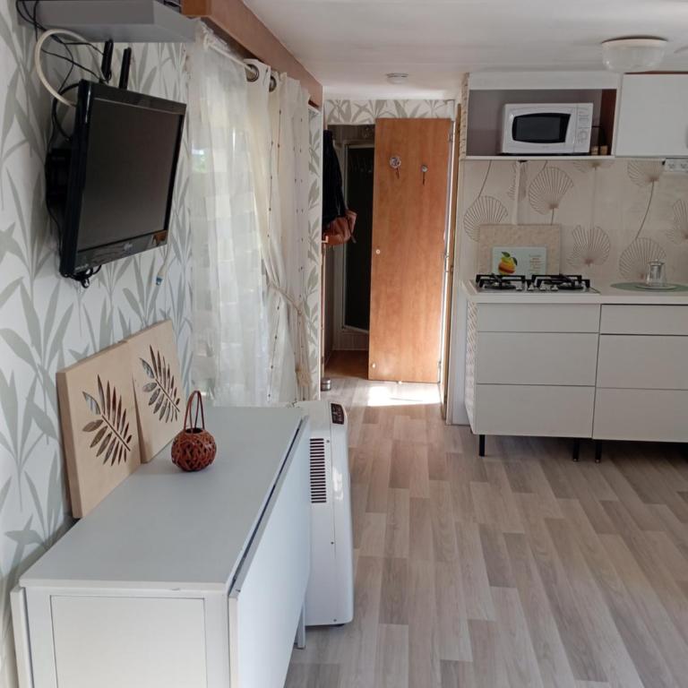 Mobil-home 6 personnes - Mobile Home - 5