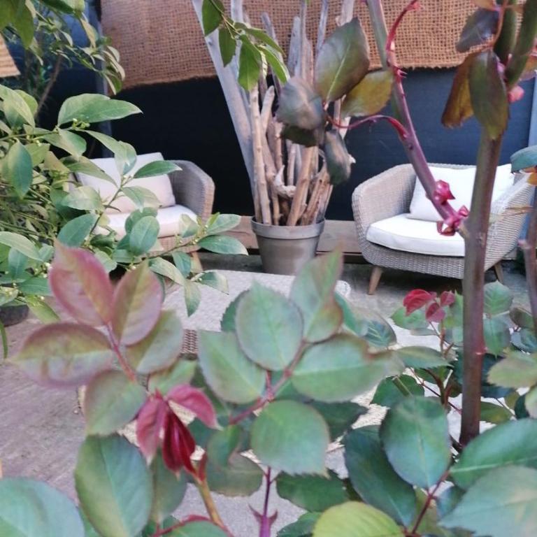 Zoralie - Suite Junior - Vue sur Jardin - 21