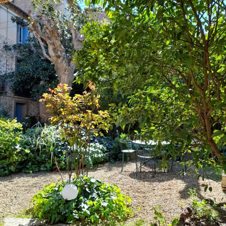 Zoralie - Suite Junior - Vue sur Jardin - 23