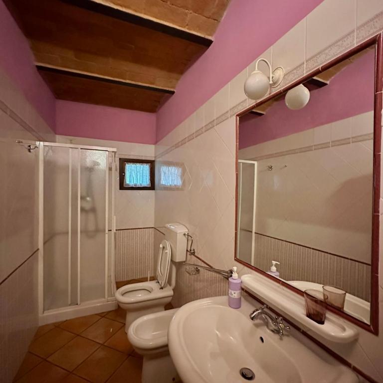 Agriturismo Casa Alle Vacche - Appartamento Standard - 6