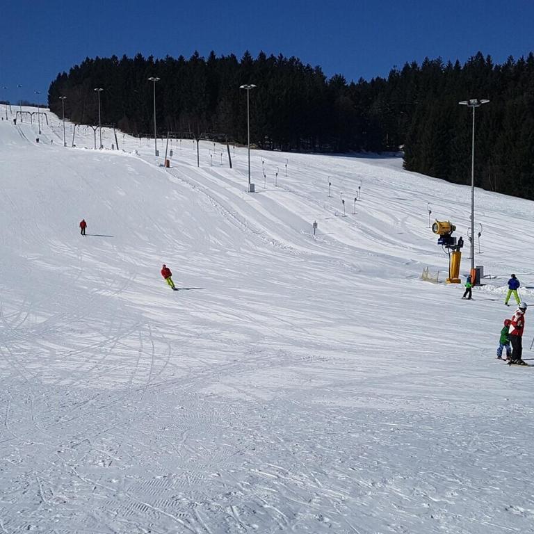 Wald Apartments im Predigtstuhl Resort - Apartment mit 1 Schlafzimmer - 25